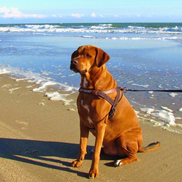 Meet your Posher, Robbin - Picture 1 of 1